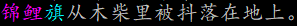 锦鲤旗1.png