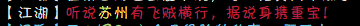 飞贼4.png
